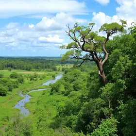 Biodiversidade do Baixo Tocantins