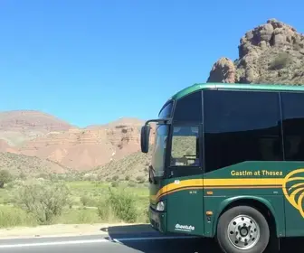 Como chegar a Abaetetuba de ônibus