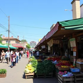 Visitar os mercados públicos