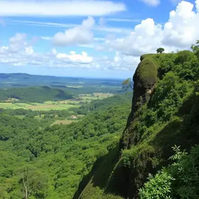 Passeio de meio período em Abaetetuba